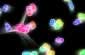 Atomlar 2