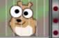 Hamster