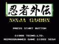 Ninja Gaiden