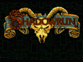 Shadowrun