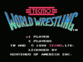 Tecmo World Wrestling