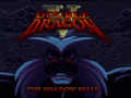 Double Dragon V: The Shadow Falls