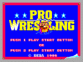 Pro Wrestling (Body Slam)