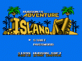 Hudson’s Adventure Island IV