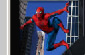 Spiderman Foto spielen